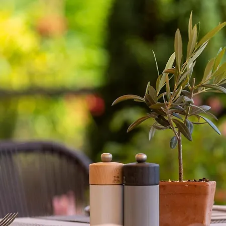 Hotel Weinhotel Pfeffer & Salz