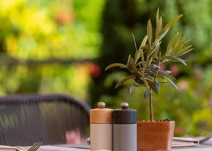 Hotel Weinhotel Pfeffer & Salz